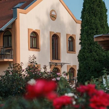 Garden Vendégház Makó Acomodação com café da manhã Exterior foto