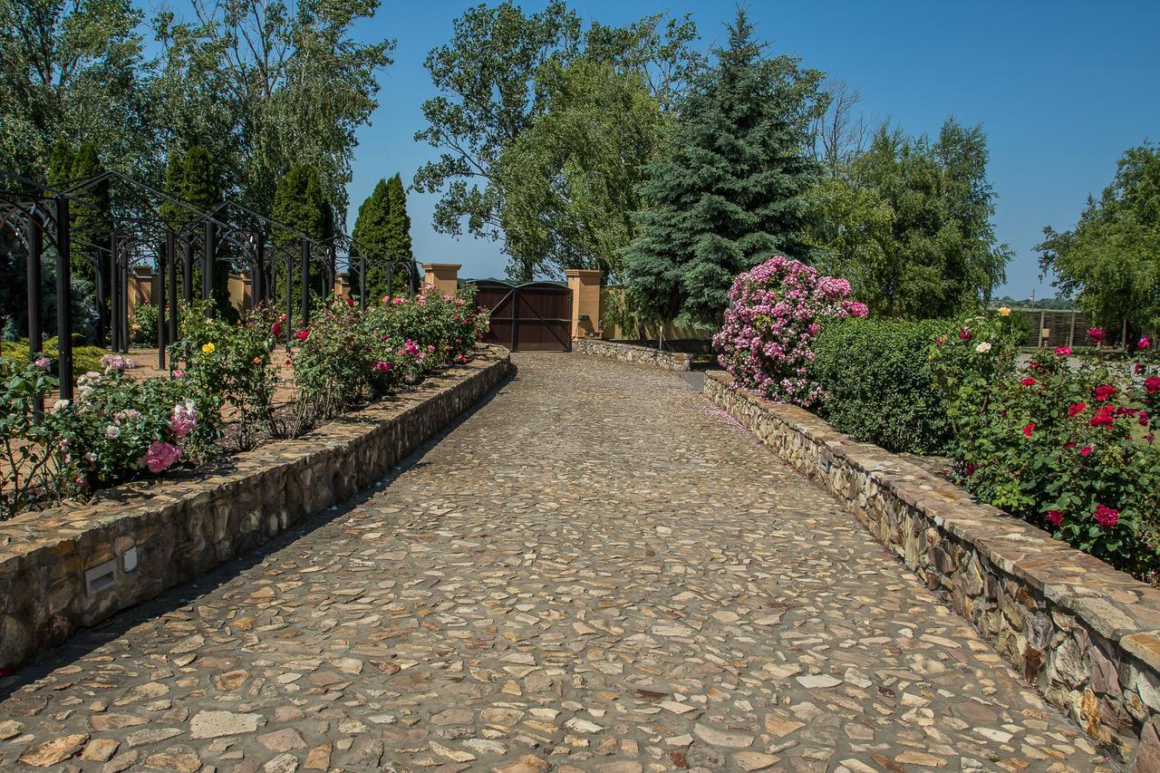 Garden Vendégház Makó Acomodação com café da manhã Exterior foto